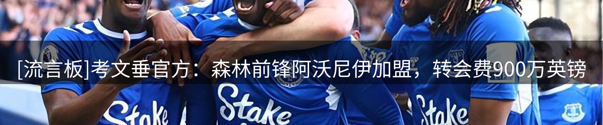 网站资讯